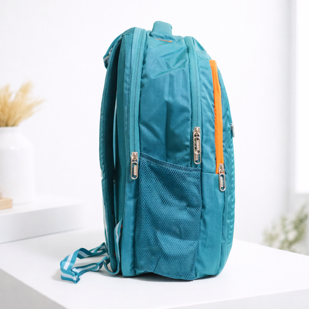 TELGO Multipurpose Sky Blue Backpack for Office, School & Travel